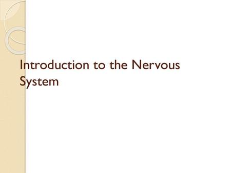 Introduction to the Nervous System