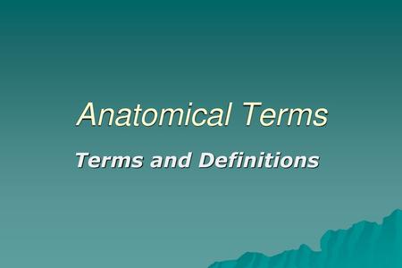 Anatomical Terms Terms and Definitions.