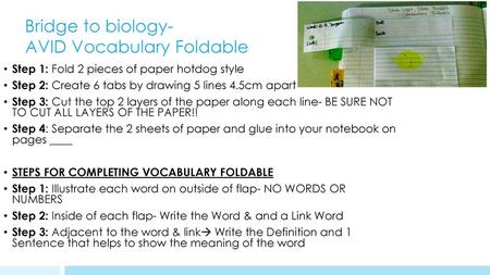 Bridge to biology- AVID Vocabulary Foldable