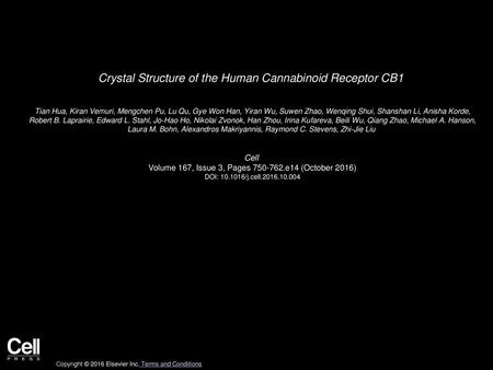 Crystal Structure of the Human Cannabinoid Receptor CB1