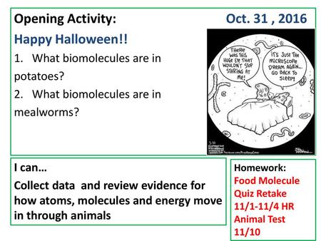 Opening Activity: Oct. 31 , 2016 Happy Halloween!!