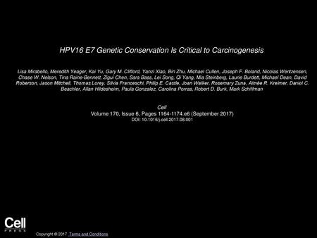 HPV16 E7 Genetic Conservation Is Critical to Carcinogenesis