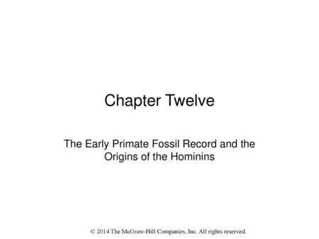 The Early Primate Fossil Record and the Origins of the Hominins