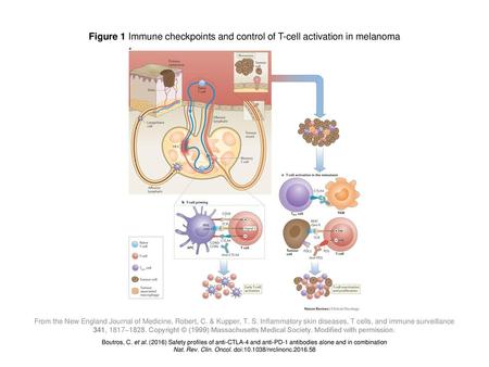 Nat. Rev. Clin. Oncol. doi: /nrclinonc