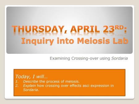 Inquiry into Meiosis Lab