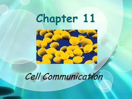 Chapter 11 Cell Communication.