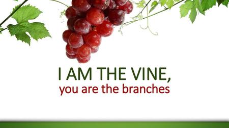 I AM THE VINE, you are the branches.