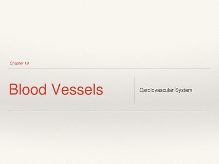 Chapter 19 Blood Vessels Cardiovascular System.