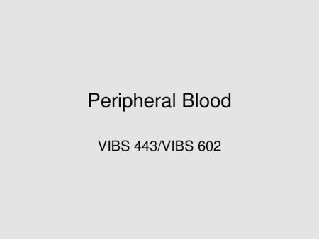 Peripheral Blood VIBS 443/VIBS 602.