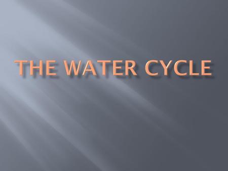 The Water Cycle.