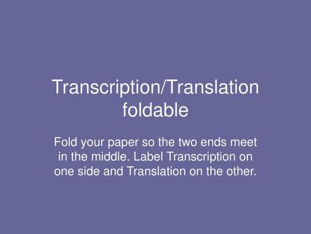 Transcription/Translation foldable