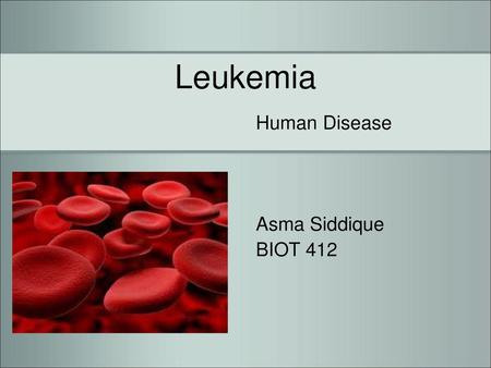 Leukemia Human Disease Asma Siddique BIOT 412.