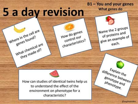 5 a day revision B1 – You and your genes What genes do