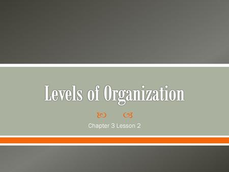 Levels of Organization