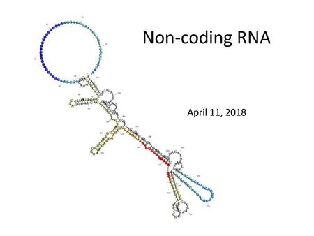 Non-coding RNA April 11, 2018.