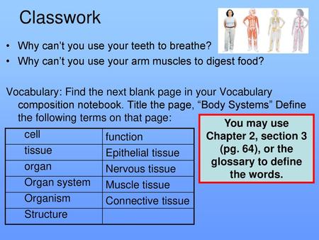 Classwork Why can’t you use your teeth to breathe?