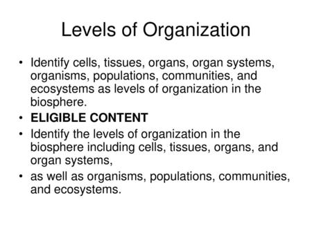 Levels of Organization