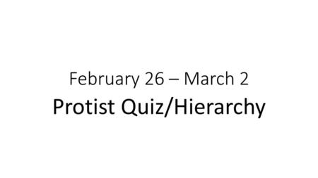 Protist Quiz/Hierarchy