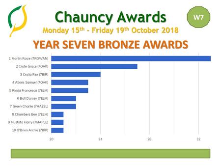 YEAR SEVEN BRONZE AWARDS