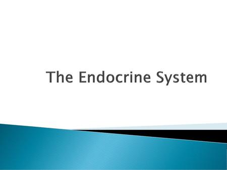 The Endocrine System.