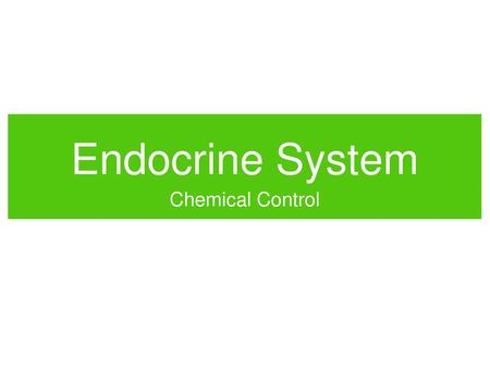 Endocrine System Chemical Control.