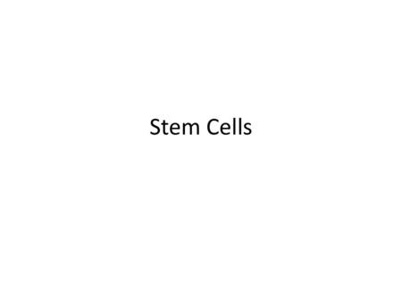 Stem Cells.