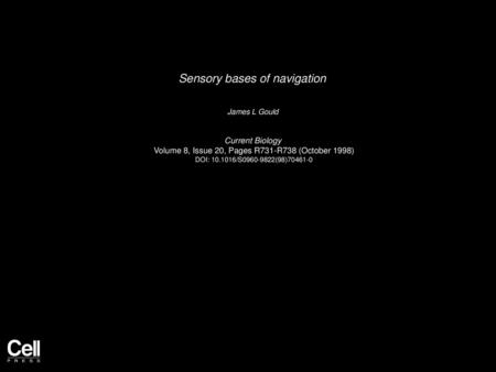 Sensory bases of navigation