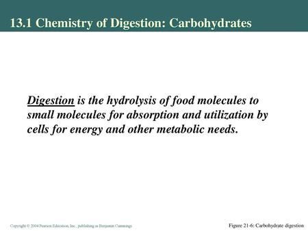 13.1 Chemistry of Digestion: Carbohydrates