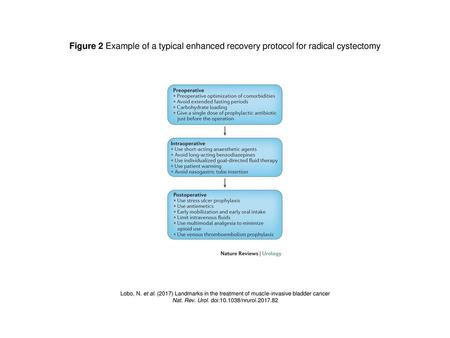 Nat. Rev. Urol. doi: /nrurol