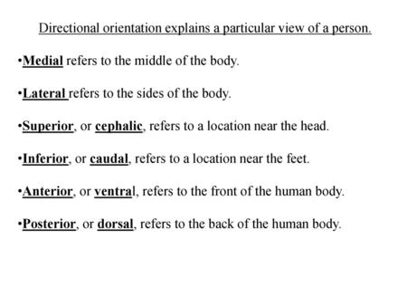 Directional orientation explains a particular view of a person.