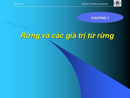 Rừng và các giá trị từ rừng