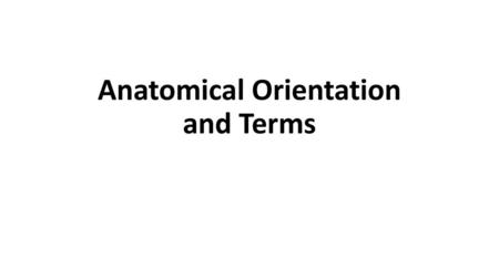 Anatomical Orientation and Terms