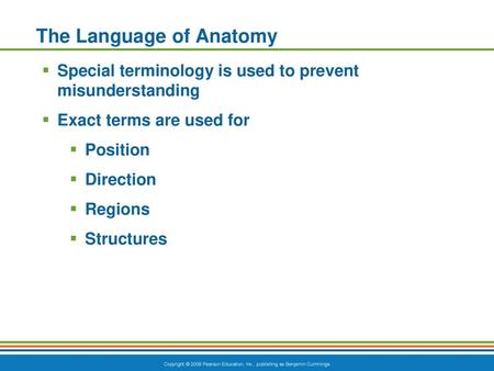 The Language of Anatomy