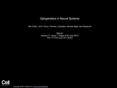 Optogenetics in Neural Systems