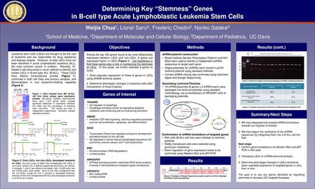 Determining Key “Stemness” Genes