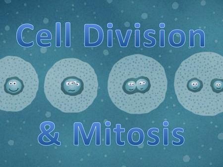 Cell Division & Mitosis.