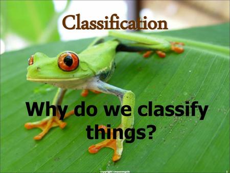 Why do we classify things? copyright cmassengale