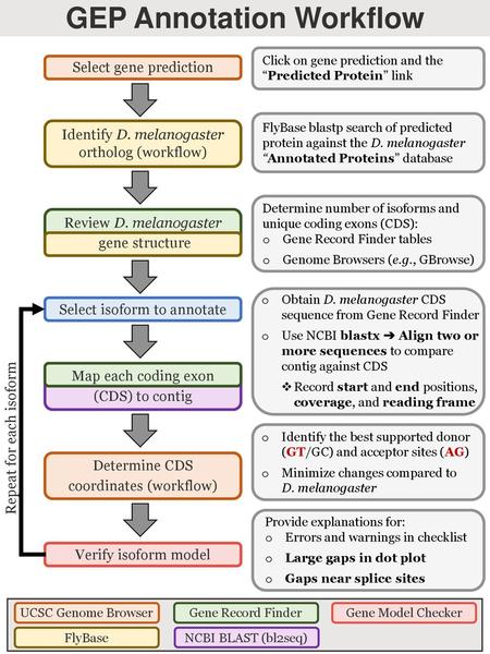 GEP Annotation Workflow