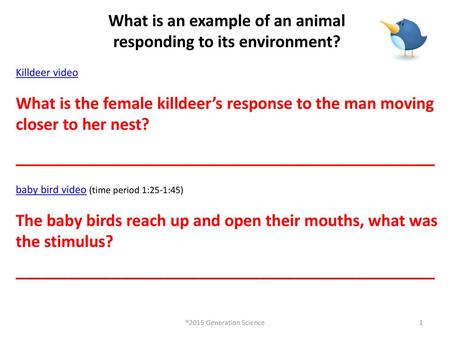 What is an example of an animal responding to its environment?