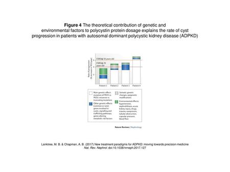 Figure 4 The theoretical contribution of genetic and