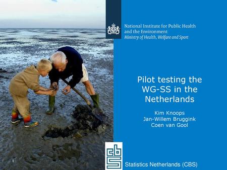 Pilot testing the WG-SS in the Netherlands Kim Knoops Jan-Willem Bruggink Coen van Gool Statistics Netherlands (CBS)