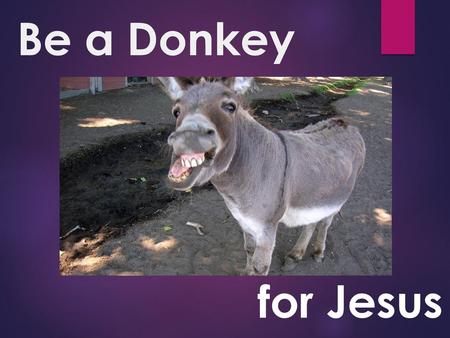 Be a Donkey for Jesus.