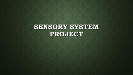 Sensory System Project