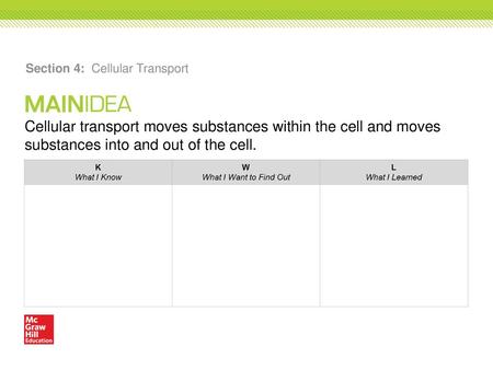 Section 4: Cellular Transport