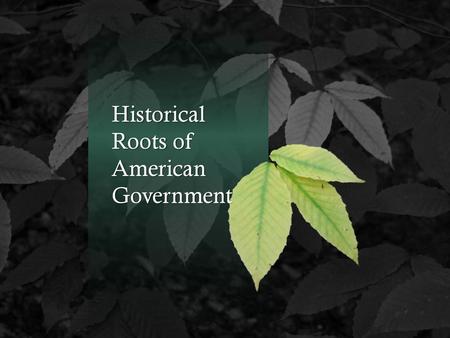 Historical Roots of American Government