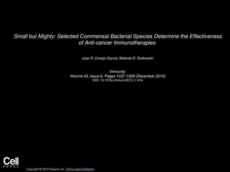 Small but Mighty: Selected Commensal Bacterial Species Determine the Effectiveness of Anti-cancer Immunotherapies  Jose R. Conejo-Garcia, Melanie R. Rutkowski 