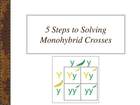 5 Steps to Solving Monohybrid Crosses