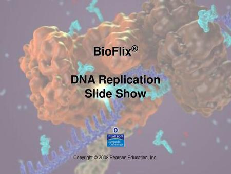 BioFlix® DNA Replication Slide Show