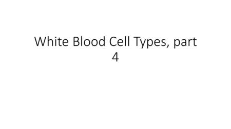 White Blood Cell Types, part 4