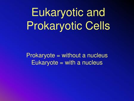 Eukaryotic and Prokaryotic Cells